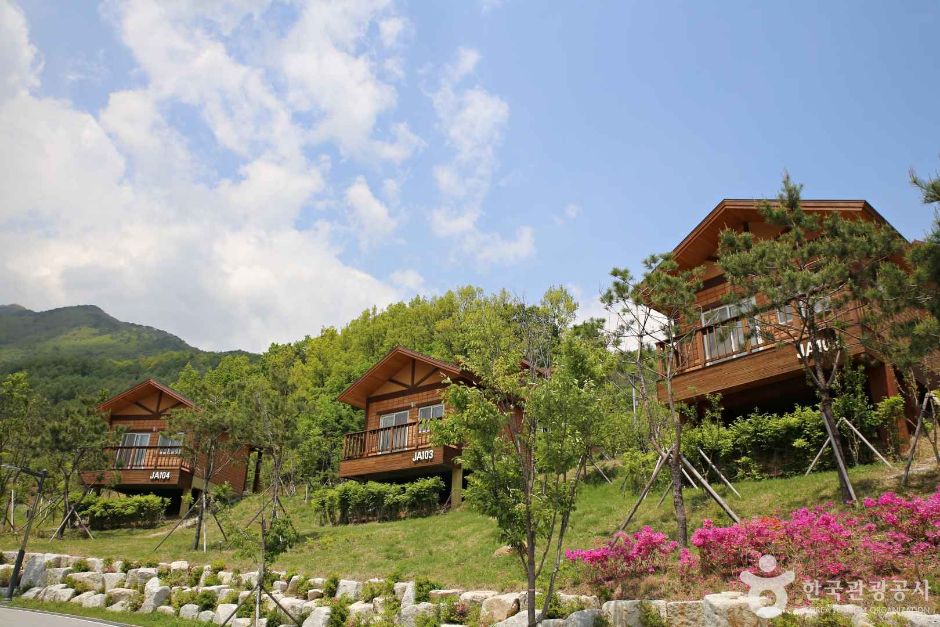 영주 국립산림치유원 이미지 4