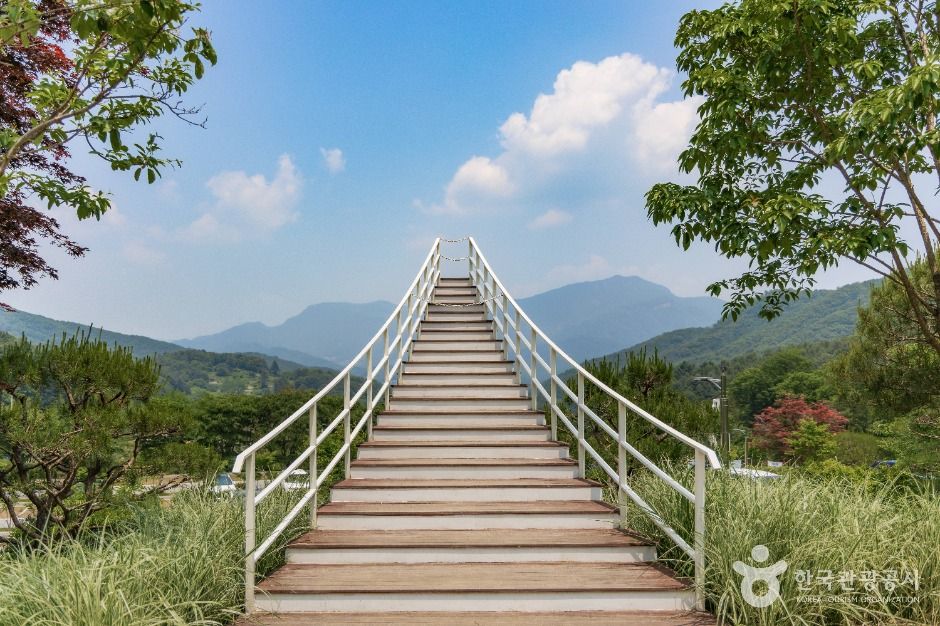 남양주 물맑음수목원 이미지 4