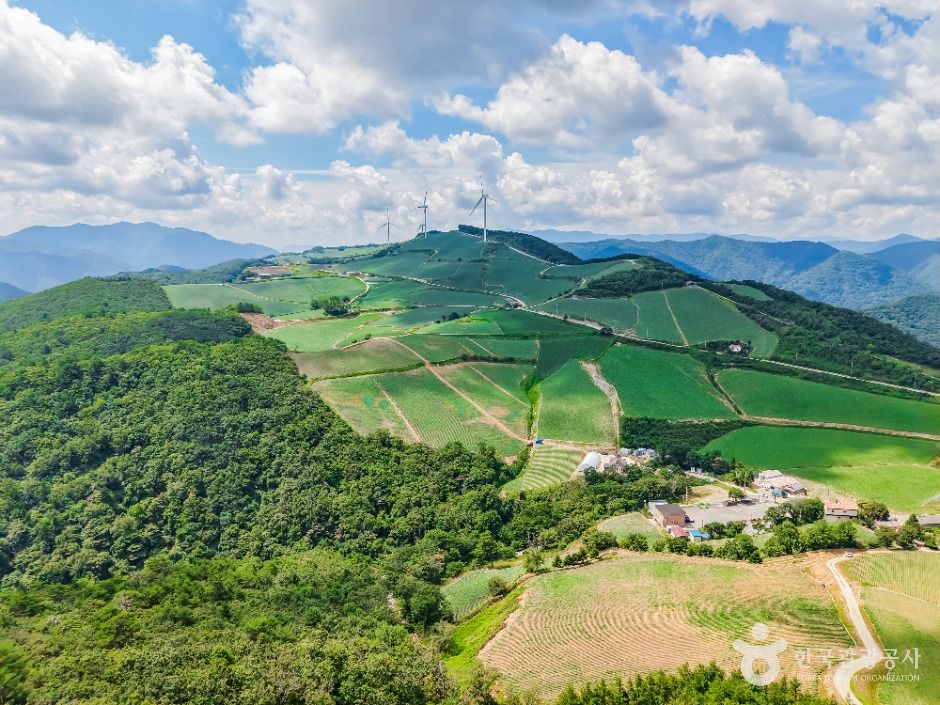 강릉 안반데기 마을 이미지 7