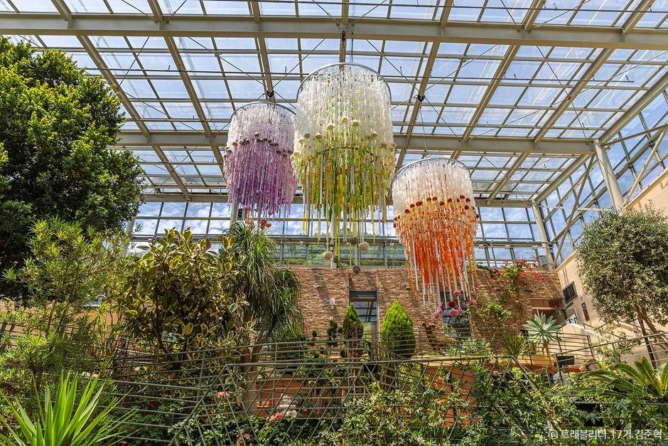 안산 유니스의정원 보타닉하우스 이미지 6