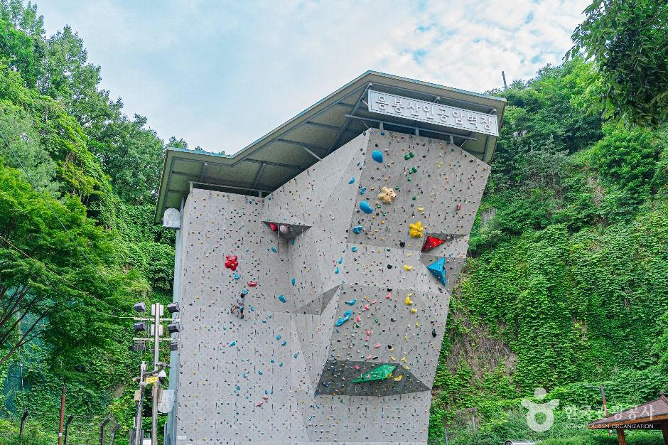 서울 응봉산 암벽등반공원 이미지 6