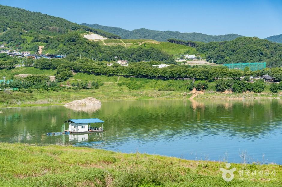 합천호 이미지 6