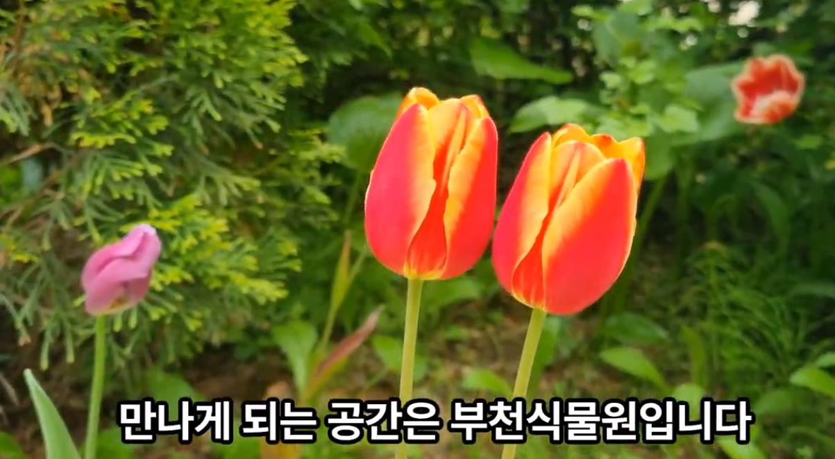 부천자연생태공원 이미지 4