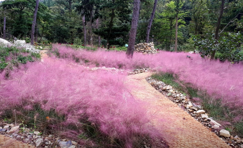 해남 포레스트수목원 이미지 4