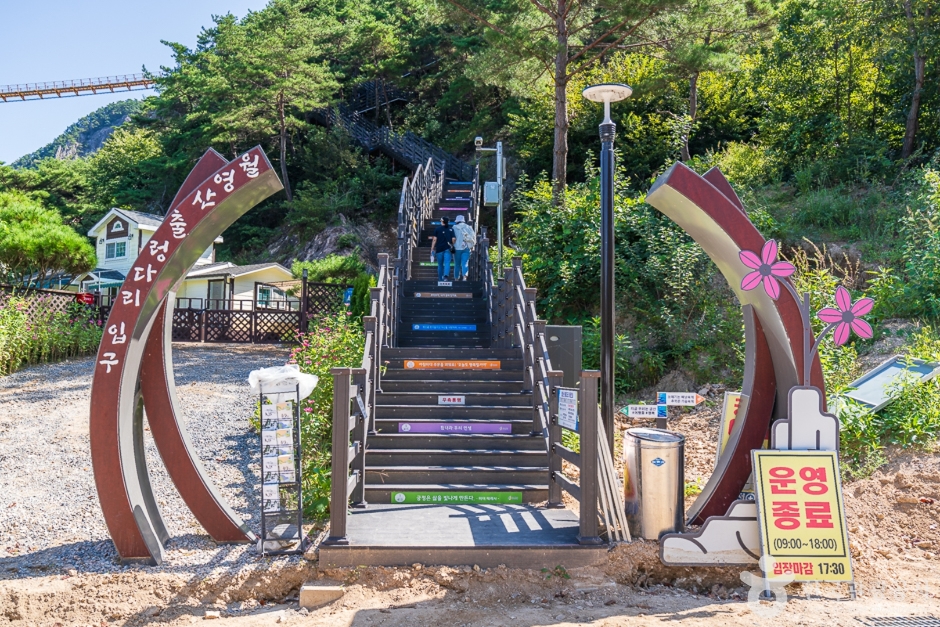 월영산 출렁다리 이미지 2