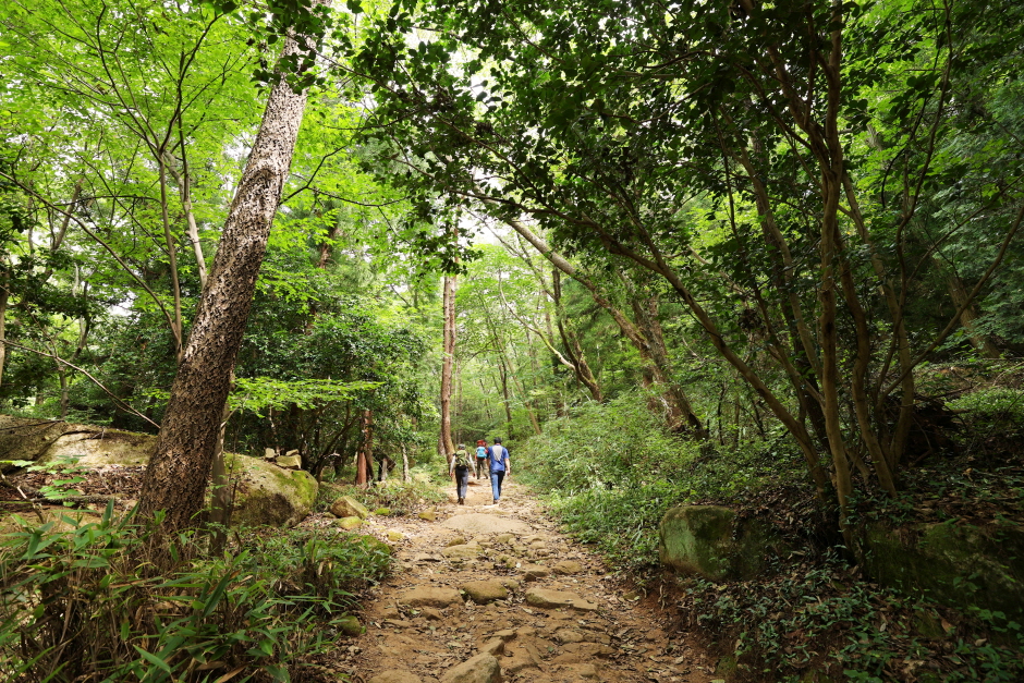 강진 월출산국립공원 경포대지구 이미지 4
