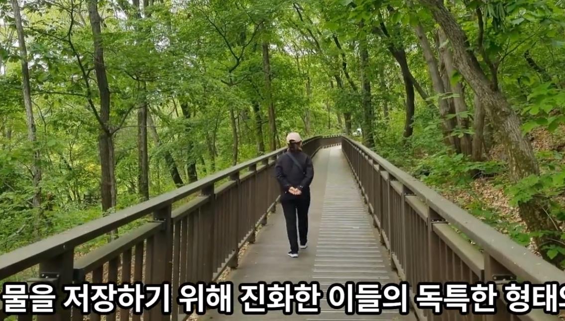 부천자연생태공원 이미지 5