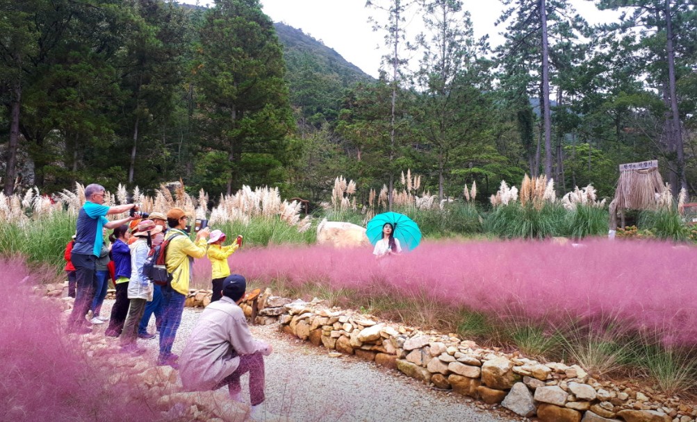 해남 포레스트수목원 이미지 12