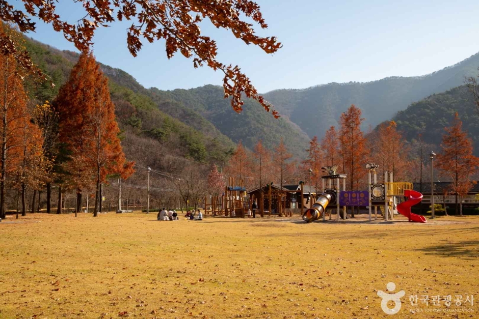 대전 상소동 산림욕장 이미지 4