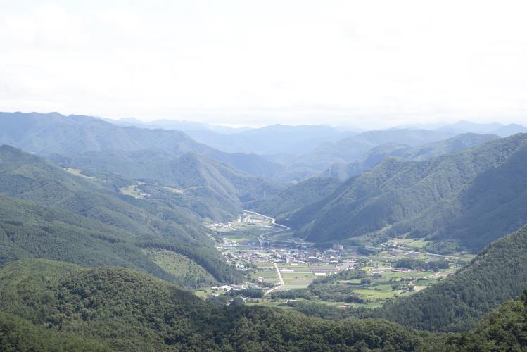 평창 육십마지기 _산너미목장 이미지 5