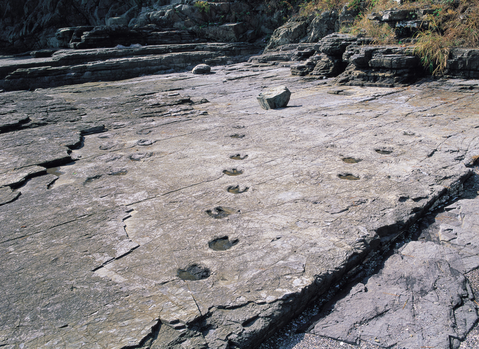 고성 상족암 군립공원 이미지 4
