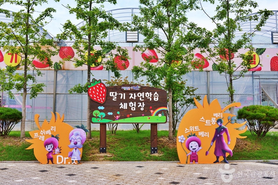 논산 딸기향농촌테마공원 이미지 3