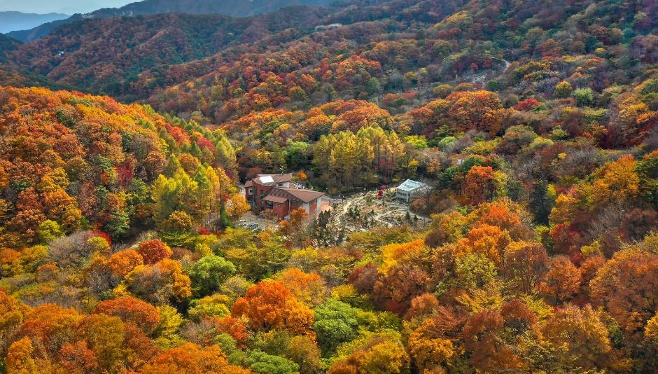 금원산 자연휴양림 이미지 2