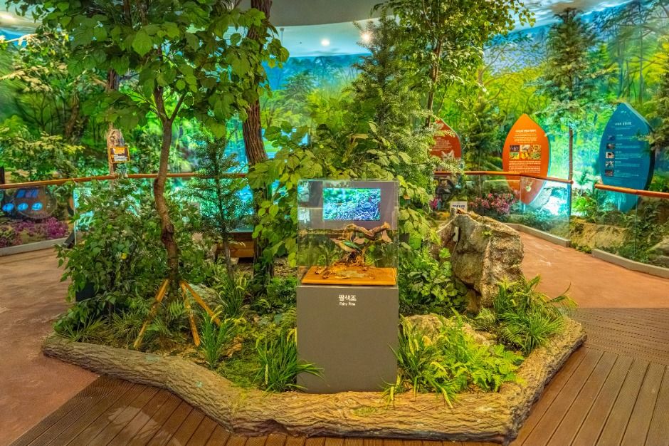 하동 지리산생태과학관 이미지 5